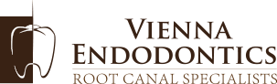 Vienna Endodontics